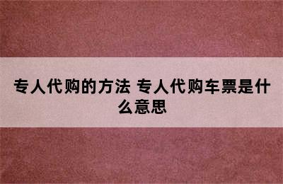 专人代购的方法 专人代购车票是什么意思